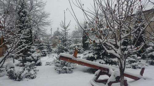 Hostal Pension Dor De Bucovina