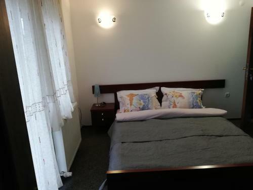 Hostal Pensiunea Veronica