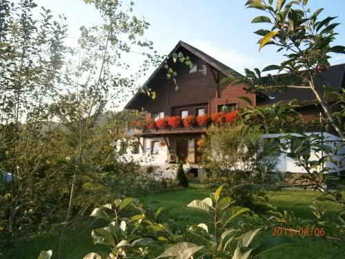 Hostal Pensiunea Veronica