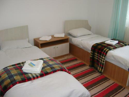 Hostal Pensiunea Rustica