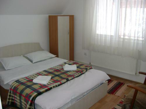 Hostal Pensiunea Rustica
