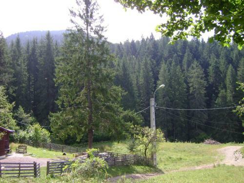 Hostal Pensiunea Rustica