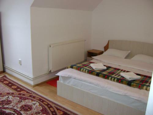 Hostal Pensiunea Rustica