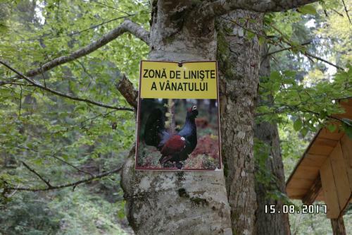 Hostal Pensiunea Rustica