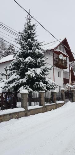 Bed & Breakfast Pensiunea Arinul