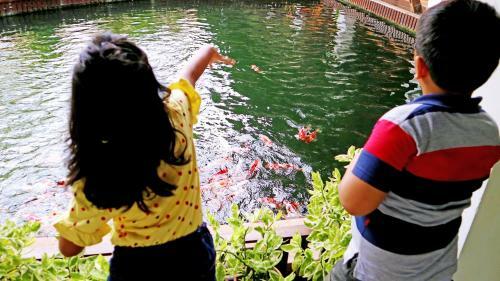 Hotel Indra Maya Pool Villas