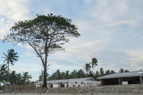 Lodge Cabana Surf And Stay