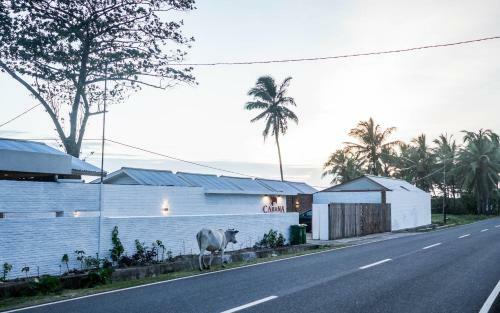 Lodge Cabana Surf And Stay
