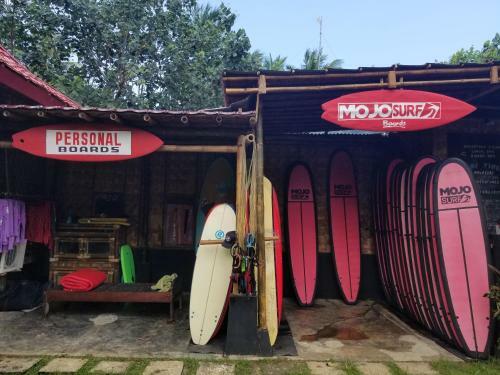 Mojosurf Camp Red Island