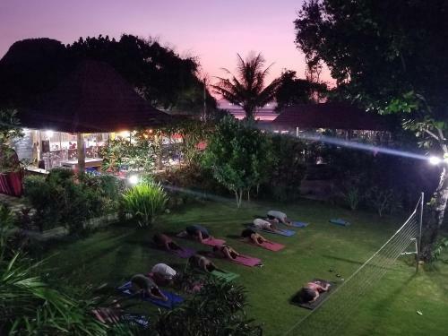 Mojosurf Camp Red Island