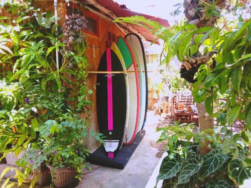 Hostal Panorama A La Plage Guest House