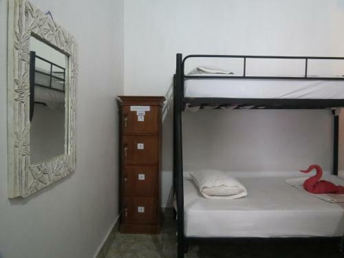Albergue Lemon House