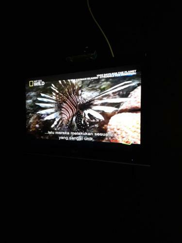 Bagus Homestay