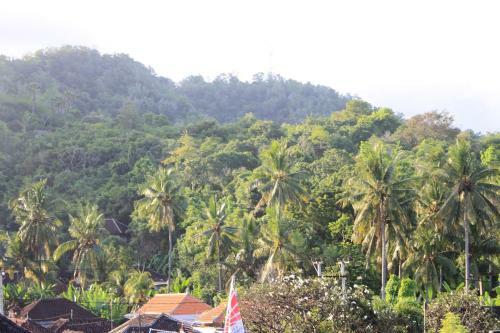 Hostal Harmony Guest House