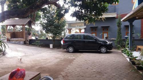 Budhis Home