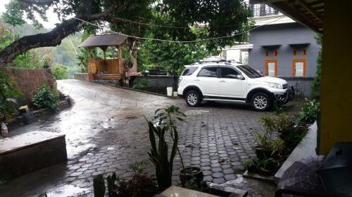 Budhis Home