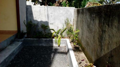 Hostal Radiya Guesthouse