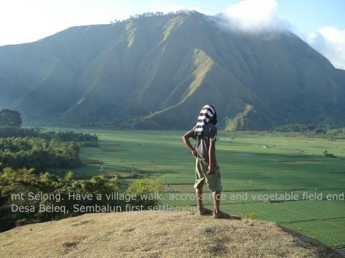 Lembah Rinjani Villa & Resto