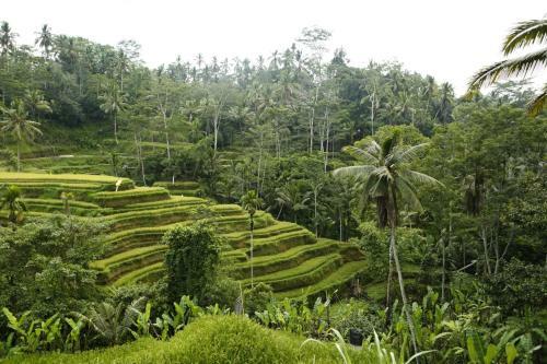 Hotel Teluk Karang Dive & Spa Resort
