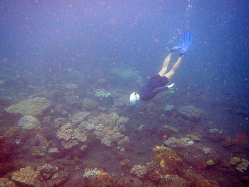 Cape Gulah Bali