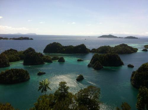 Raja Ampat Dive Resort