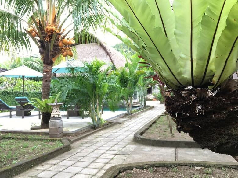 Hostal Bale Lumbung Bungalows