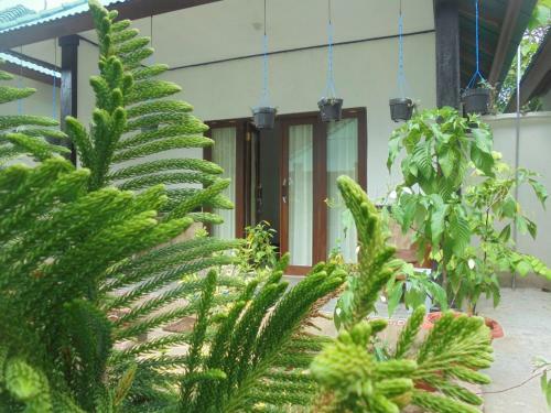 Hostal Jasmine Inn
