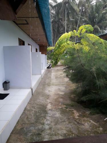 Hostal Jasmine Inn