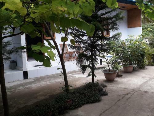 Hostal Jasmine Inn