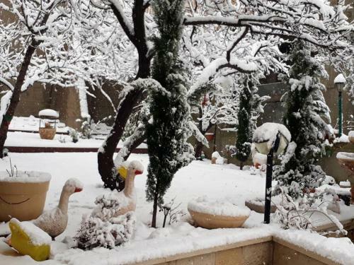Apartamento Hermon Accommodation