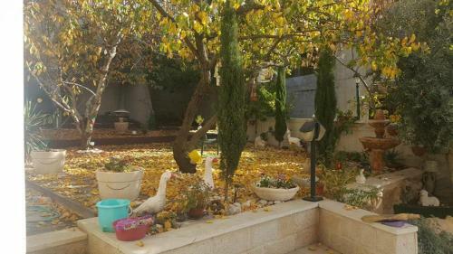 Apartamento Hermon Accommodation
