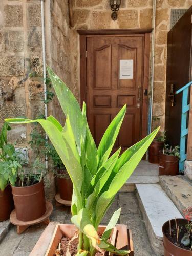 Apartamento Zidan Sarai