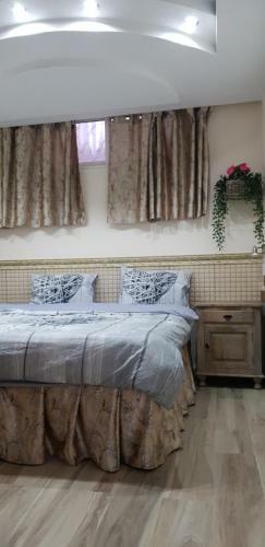 Shahal Apartments
