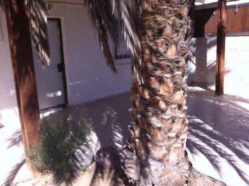 Apartamento Pura Vida Eilat