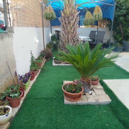 Didi Guest House