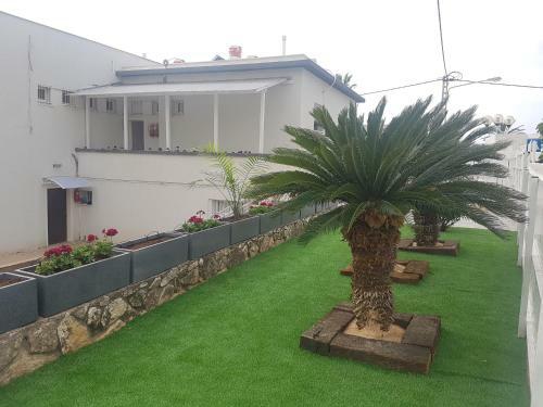 Apartamento ???? ?????- Avnei Hoshen