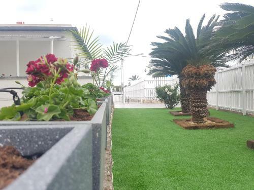 Apartamento ???? ?????- Avnei Hoshen