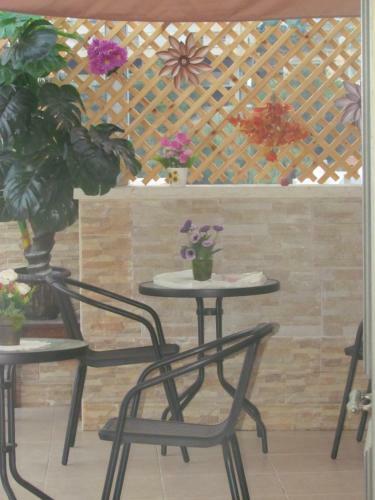 Hostal Royal Guest House