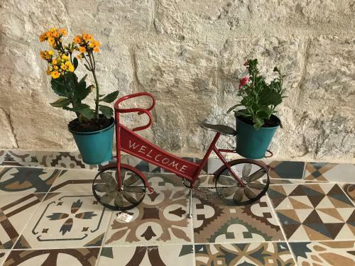Hostal Al Bishara Guest House