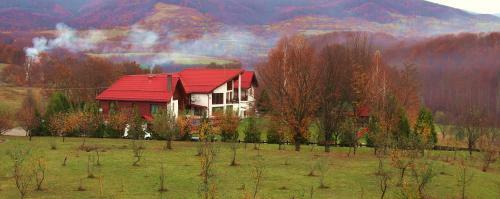Hostal Pension Isuica