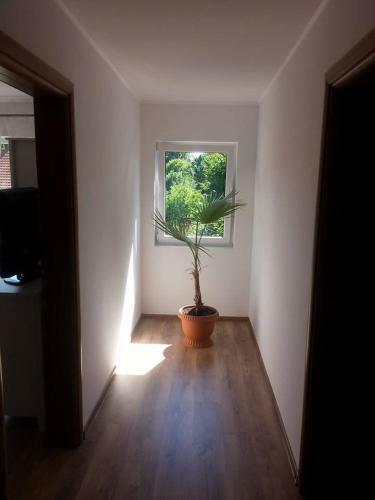 Hostal Pension Klarissa