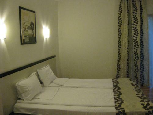 Hotel Anina