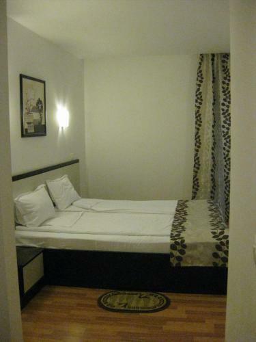 Hotel Anina