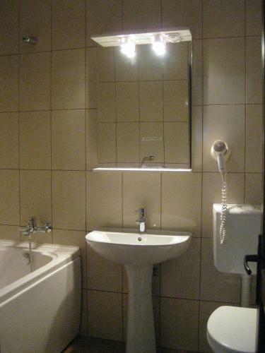 Hotel Anina