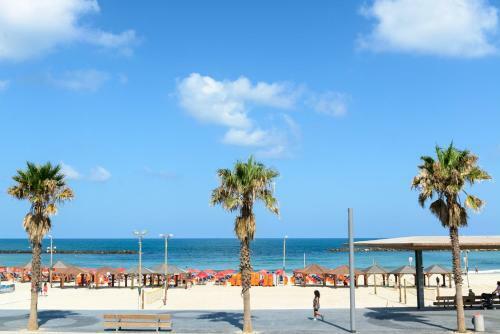 By 31 - By Beach Apartments Tlv