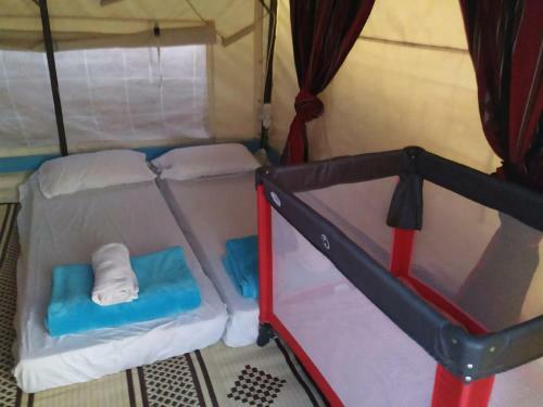 Desert Camping Israel