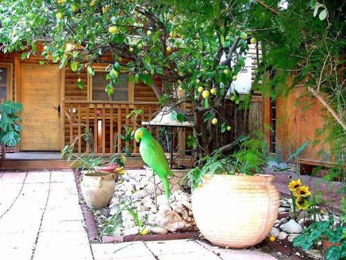 Lodge Hadar Bakfar