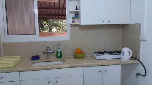 At Our Yard - Vacation Apartments In Upper Galilee
