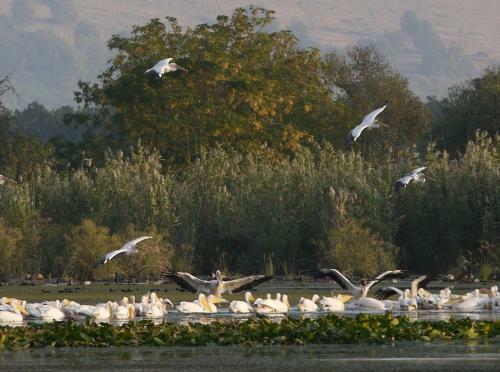At Our Yard - Vacation Apartments In Upper Galilee