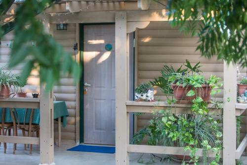 Leyad Hashmura Lodging